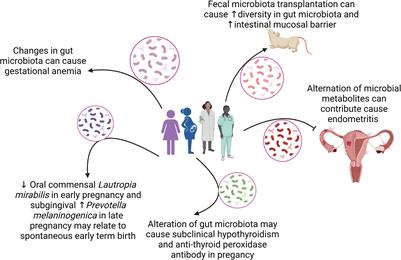 Editorial: Women in microbiome in health and disease 2021